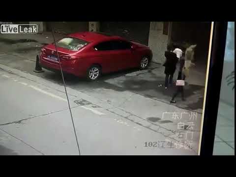 نهاية مروعة لامرأة بسبب كلب