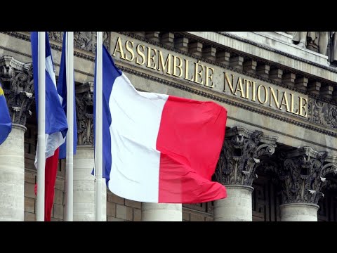 شاهد اليمين يتقدّم بمذكرة حجب الثقة عن الحكومة بسبب قضية بينالا