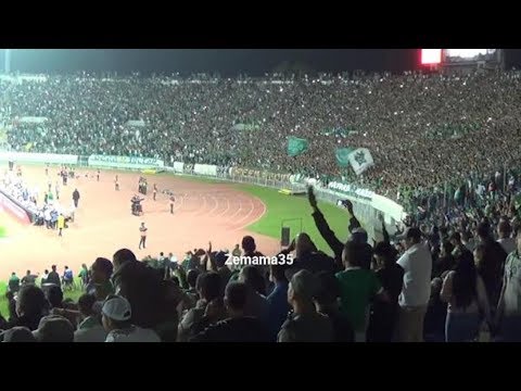 صيحة جماهير الرجاء البيضاوي تلاقي انتشارًا واسعًا في العالم العربي