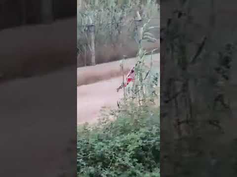 شاهد رجل جزائري يخترق الحدود المغربية