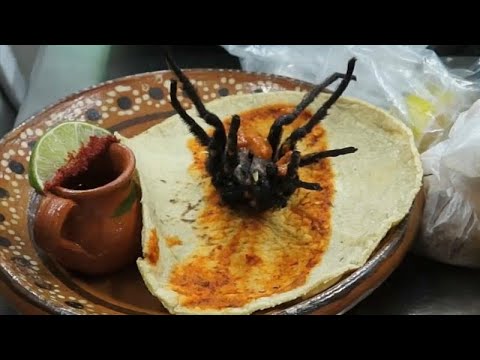 أحدث إصدارات المطبخ المكسيكي تاكوس العناكب