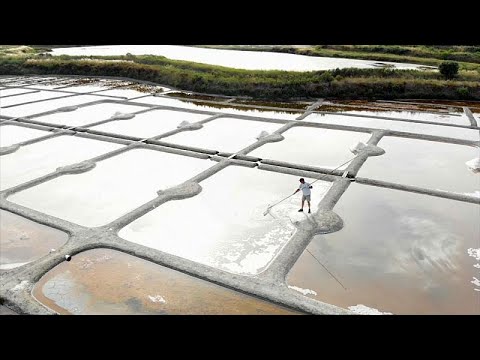 طريقة استخراج أحد أفخر أنواع الملح في العالم في فرنسا