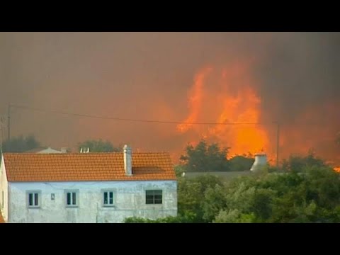شاهد نيران الحر تحرق غابات البرتغال وألف من رجال الإطفاء يحاولون إخمادها