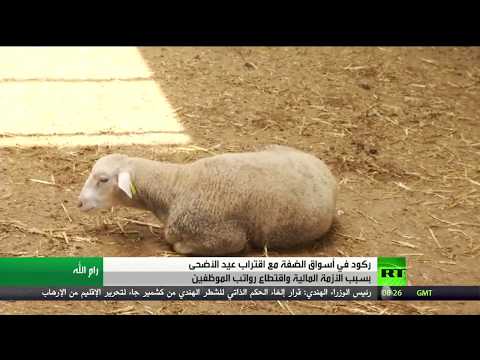 شاهد عيد الأضحى والأزمة المالية في الضفة الشرقية في فلسطين