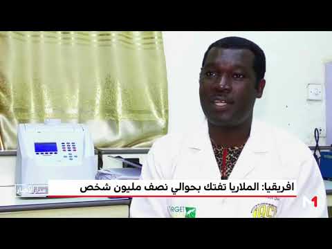 الملاريا تفتك بحوالي نصف مليون شخص في أفريقيا