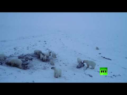 شاهد تحديات تواجه رئيس الحكومة التونسية المكلف