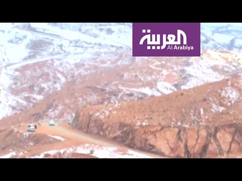شاهد سكان تبوك وضواحيها يتجهون إلى جبل اللوز المغطى بالثلوج