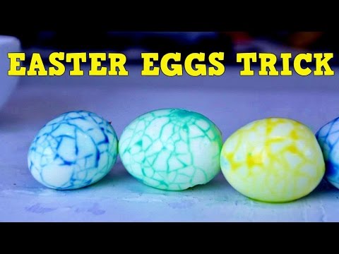 بالفيديو مقلب طريف باستخدام البيض الملون