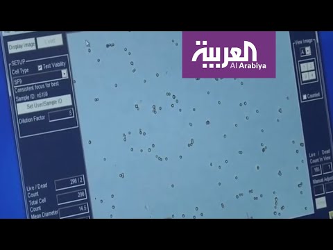 شاهد سفارة أميركا حذَّرت قبل عامين من تجارب في ووهان على الخفافيش