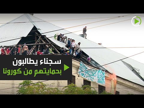 شاهد سجناء ديفوتو يطالبون بحمايتهم من كورونا