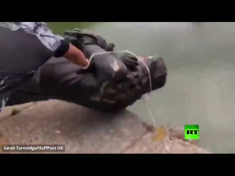 شاهد متظاهرون بريطانيون يحطمون تمثالًا لتاجر رقيق ويلقون به في النهر