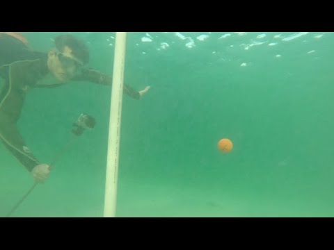 شاهد شاب يسجل هدفًا في أول حفرة غولف تحت الماء