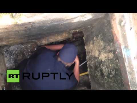 شاهد نغمة هاتف ذكي تنقذ صغار البط من الموت