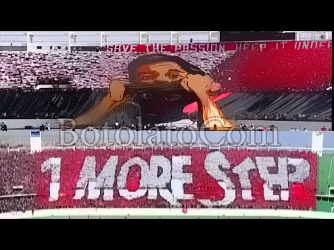 بالفيديو لحظة تتويج الوداد البيضاوي بلقب الدوري