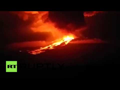 شاهد بركان وولف الإكوادوري يبدأ في الثوران