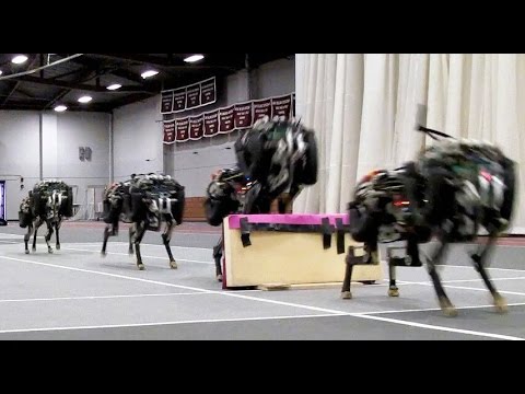 بالفيديو تطوير روبوت يمكنه قفز الحواجز ببراعة