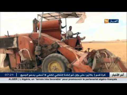 خسائر فادحة للفلاحين بعد إتلاف الإمطار للمحاصيل