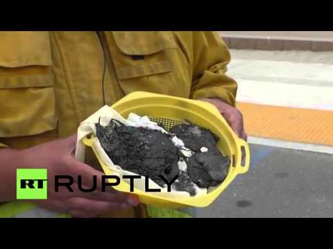 فيديو تواصل تنظيف شواطئ لونغ بيتش من المواد البترولية