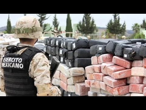 بالفيديو أكثر من 40 طنا من الماريخوانا تصادر في المكسيك