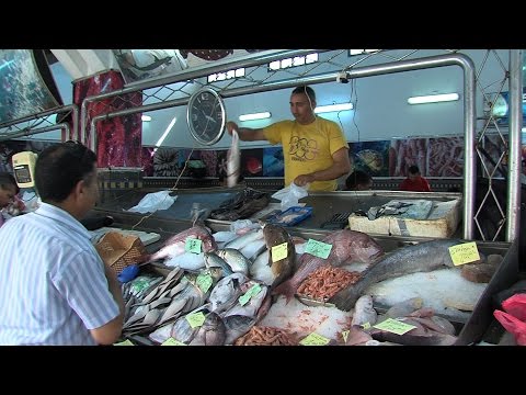 فيديو الأسماك مادة أساسية على المائدة الرمضانية