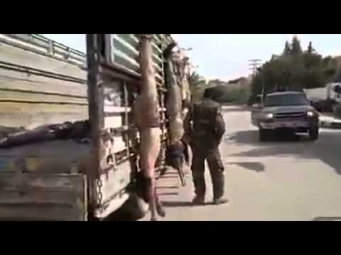 شاهد الحشد الشعبي يصلب بعض أسرى داعش على الشاحنة