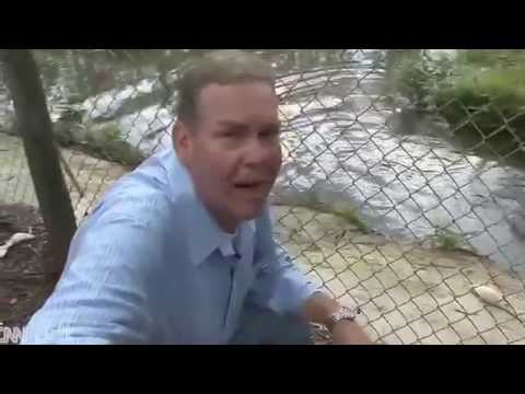 فيديو رجل يحاول تصوير تمساح ضخم عن قُرب