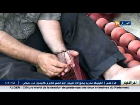 شاهد خياطو شباك الصّيد يتفننون في الحرفة