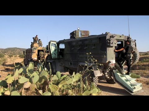 رئيس الوزراء التونسي  بناء جدار على الحدود مع ليبيا 