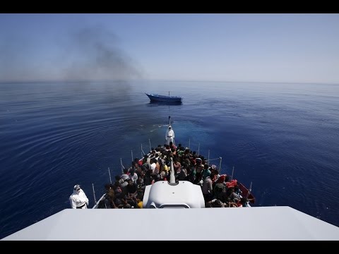 شاهد البحرية الإيطالية تنقذ 823 مهاجرًا غير شرعي