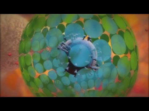 تعرف على فيروس الأيدز وكيفية علاجه