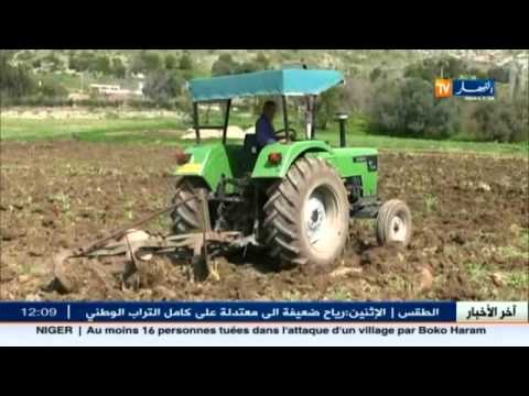 شاهد النشاط الفلاحي يشتكي نقص الاهتمام في منطقة بالعياضي برباس
