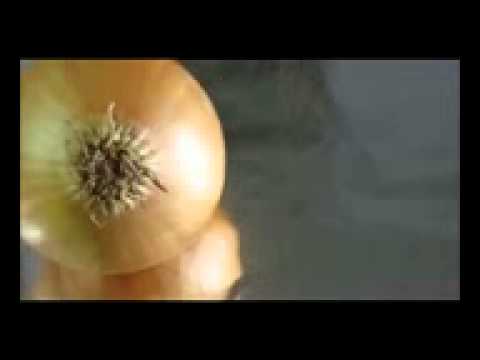 بالفيديو أفضل 3 طرق لتقطيع البصل دون دموع