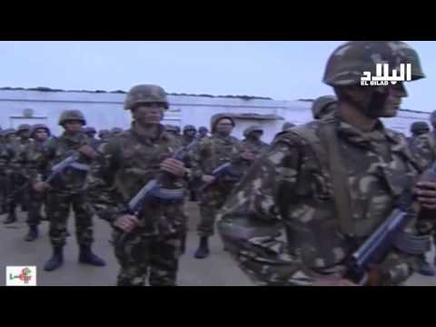 شاهد الجيش يؤكد أن جريمة عين الدفلى لن تزيدنا إلا عزيمة لمطاردة فلول المتطرفين