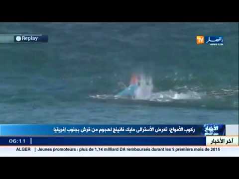 بالفيديو ميك فانينغ ينجو بأعجوبة من هجوم سمك القرش