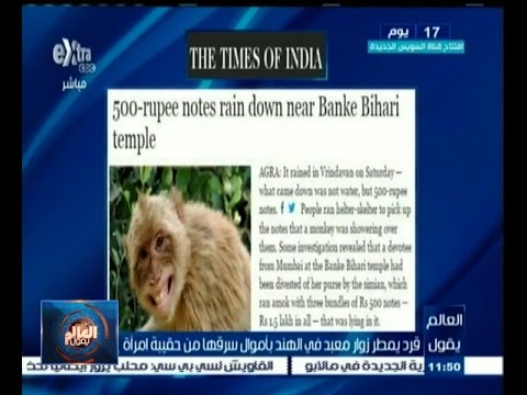 قرد يمطر زوار معبد في الهند بأموال سرقها من حقيبة امرأة