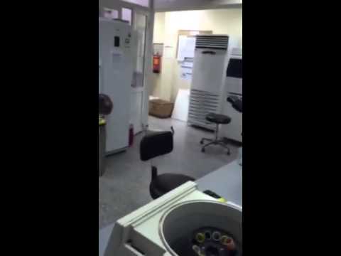بالفيديو قطة داخل إحدى مستشفيات مكة المكرمة