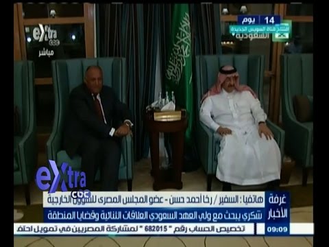 وزير الخارجية المصري يلتقي ولي العهد السعودي