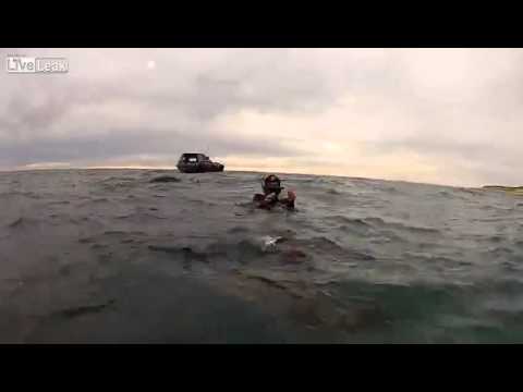 بالفيديو أسد البحر يهاجم غواصين بالقبلات والأحضان
