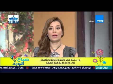 فيديو وزراء مياه حوض النيل يتفقون على خارطة طريق لسد النهضة