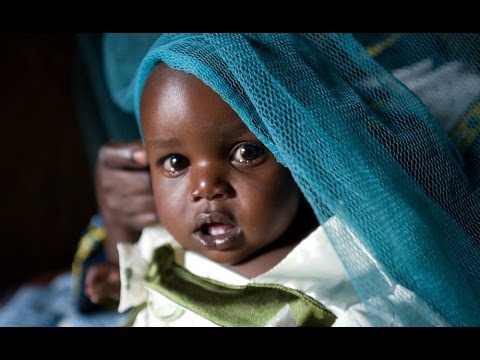 شاهد عقار جديد لعلاج الملاريا في أفريقيا