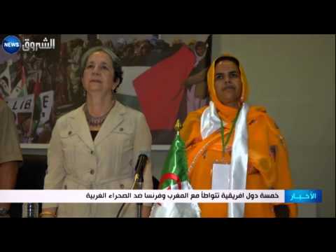 بالفيديو 5 دول أفريقية تتواطأ مع المغرب وفرنسا ضد الصحراء الغربية