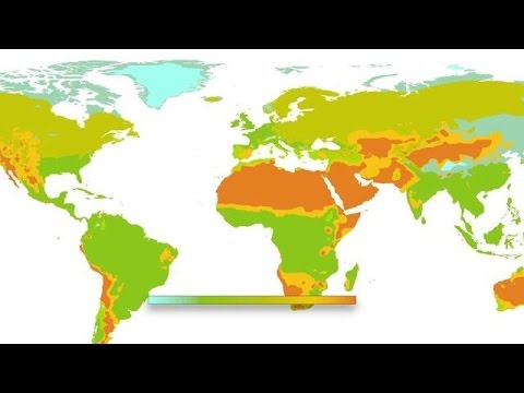 حرب الليتشي تعكس تبعية فيتنام للسوق الصينية