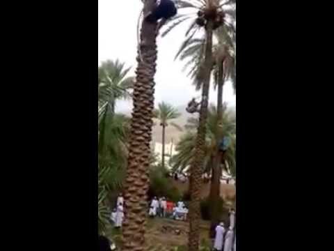 شاهد أغرب سباق على وجه الكرة الأرضية