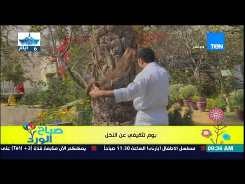 فقرة مونتيسوري المميزة مع مروة رخا