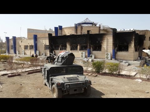شاهد مقتل العشرات من داعش في مناطق متفرقة