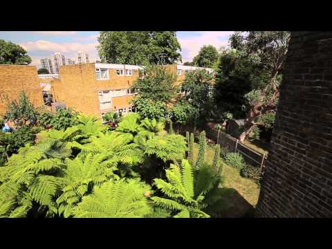 شاهد بريطايى يحول حديقة منزلة لغابة استوائية