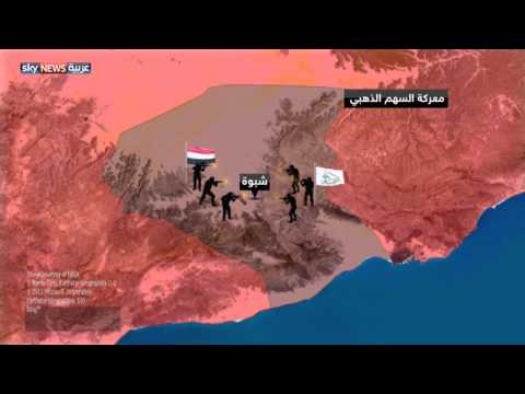 شاهد القوات الشرعية تقترب من تحرير إب