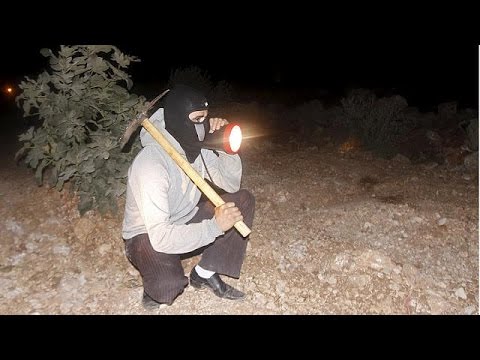 لجان حماية شعبية فلسطينية في الضفة الغربية المحتلة