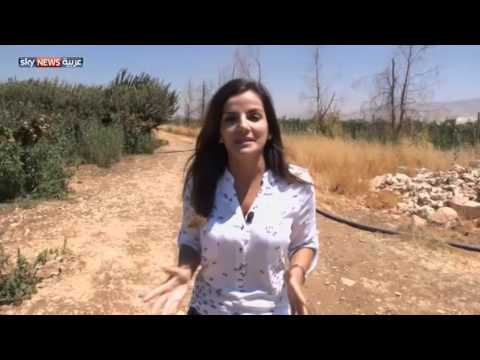 شاهد تضرر تصدير الإنتاج الزراعي اللبناني