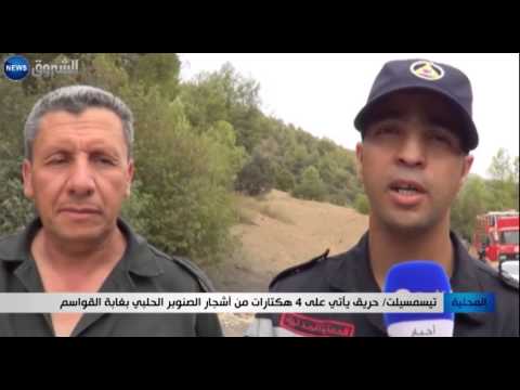 شاهد حريق يلتهم 4 هكتارات من أشجار الصنوبر الحلبي